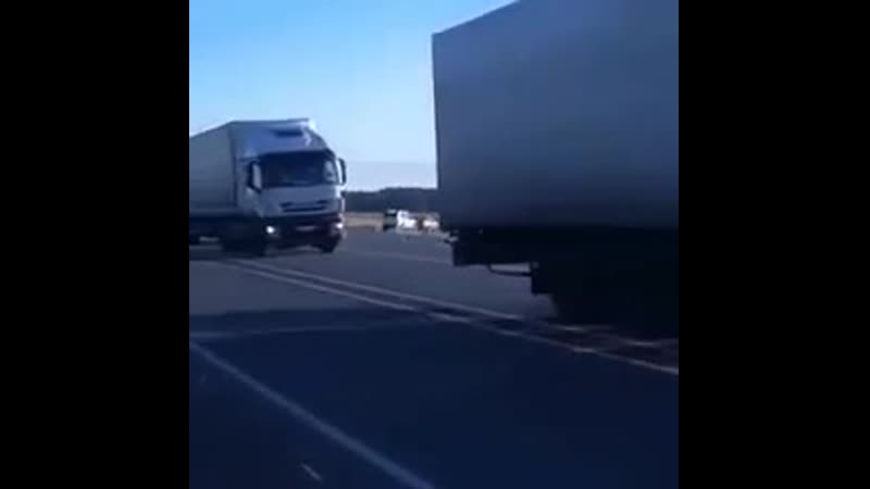 Отбитые молодые jn,bnst vfkjktnrb