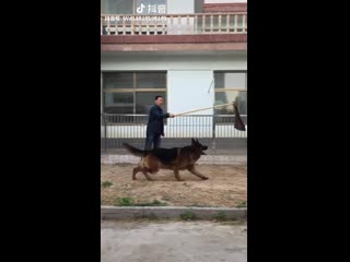 Play smarter not harder