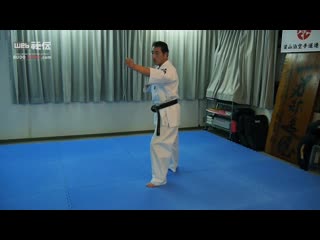 A new karate and fighting method that produces small but sharp power! / togashi yoshihiro