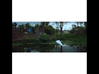 Сниппет видеоклипа дуэта angus & julia stone на сингл «chateau»