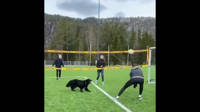 Молодые волейболист