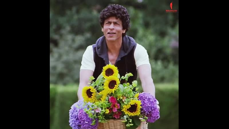 Shah rukh khan | kareena kapoor | raone | dildara