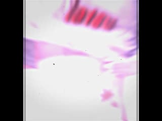 ₊˚˳ ɞ 🐈 ୧ ·˚ kaedehara kazuha ; genshin impact edit