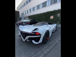 Ssc tuatara