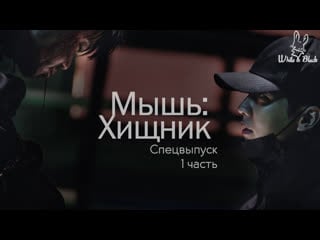 [спецвыпуск] мышь хищник 🐭 mouse the predator