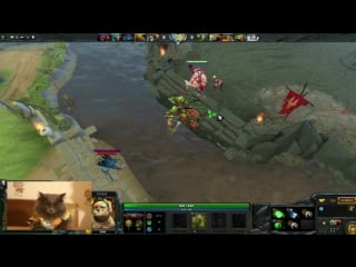 Котейка играет в доту