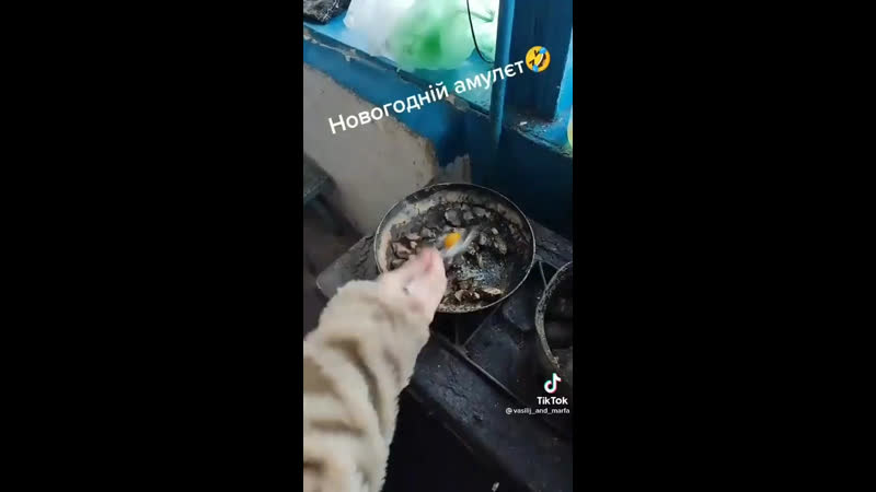 Чистый зож органика