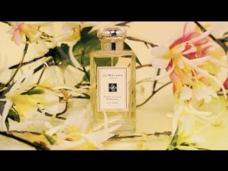 Jo malone honeysuckle and davana