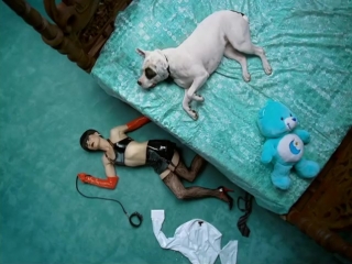 The cardigans i need some fine wine and you, you need to be nicer