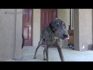 Ednas registered owner thought she was молодые for 18 years