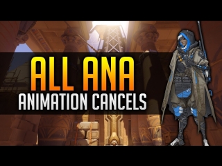 Ana all animation cancels