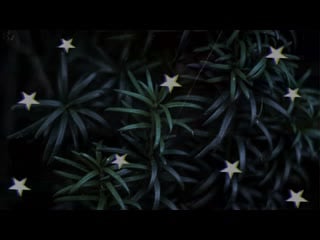 Интро alina kuznetsova