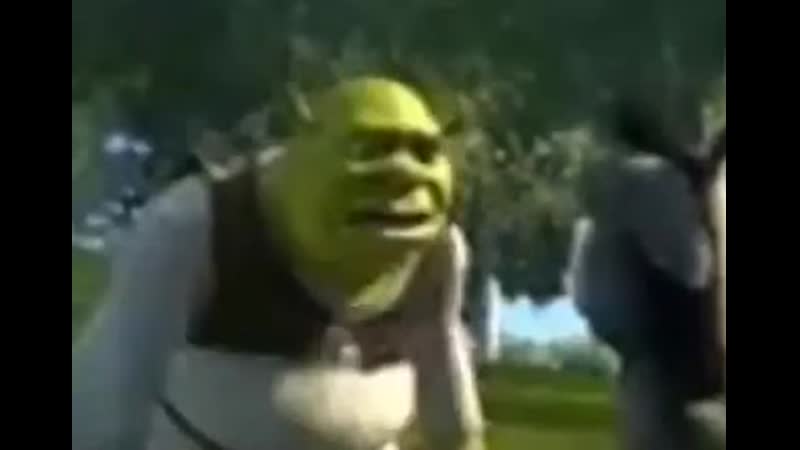 Ебанутый шрек отхуесосил осла