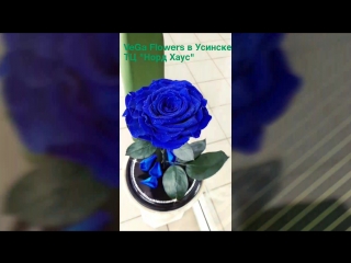 Vega flowers в усинске