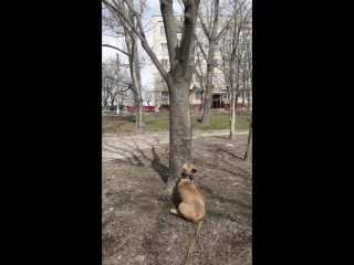 Видео от карины люберец