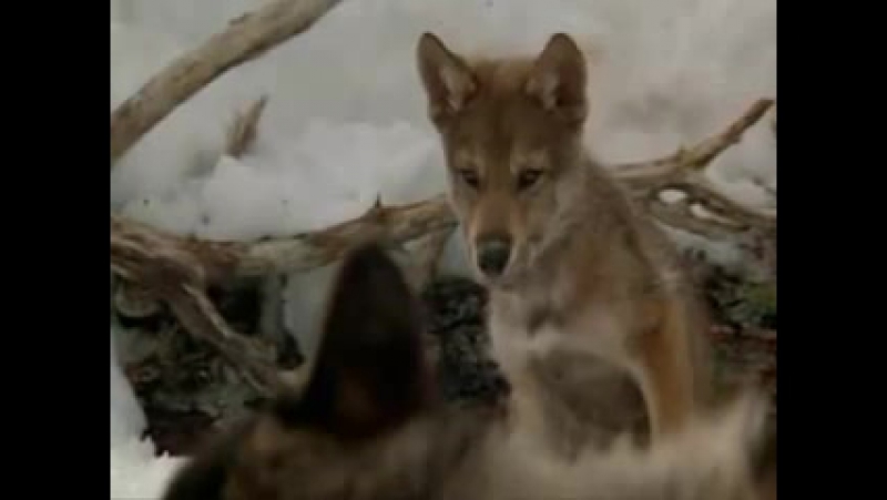 Лучше не смотрите будете плакать очень грустное видео(мама с сыном)