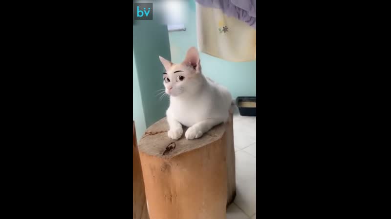 Лицо попроще сделайте, уважаемая