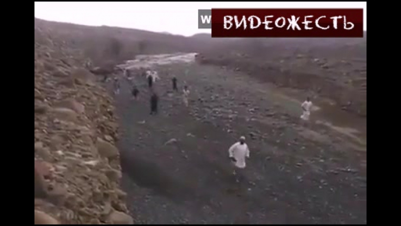 Накрывает волной © видеожесть