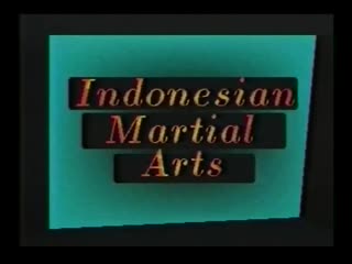 Pencak silat mande mude silat jurus harimau vol 1