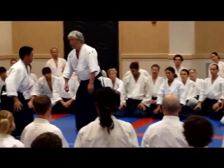 Yamada sensei katatori menuchi shihonage