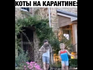 Откормили 😳