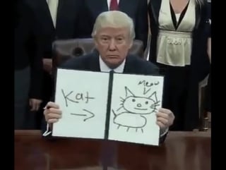 President trump draws a cat