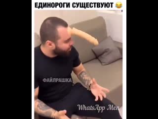 Единороги существуют 🦄