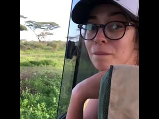Cristin milioti observes lion