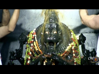 2015 mayapur nrsimhadeva caturdasi abhisheka video