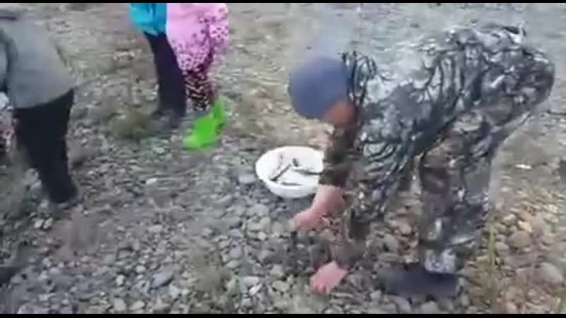 Как ловят корюшку на камчатке (vhs video)