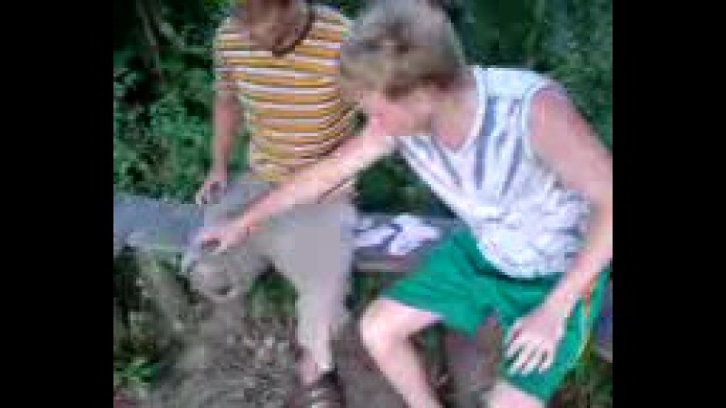 Очередная бредятина бугага