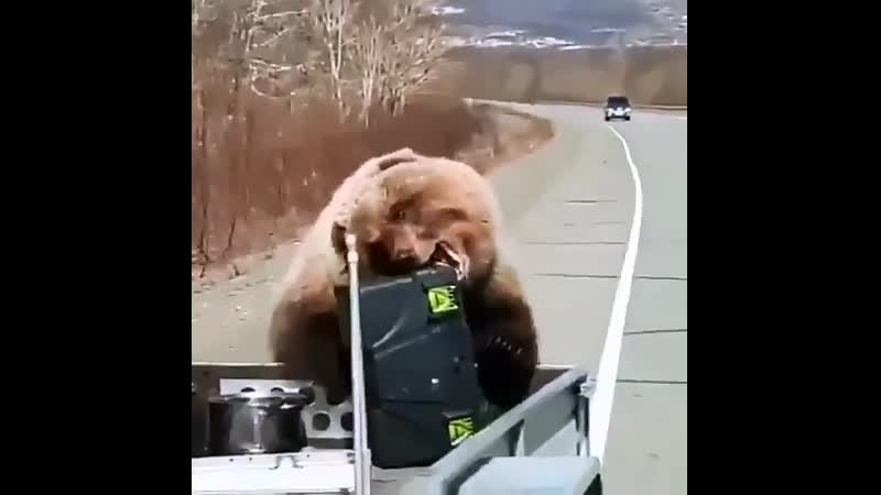 Украл всю жрачку