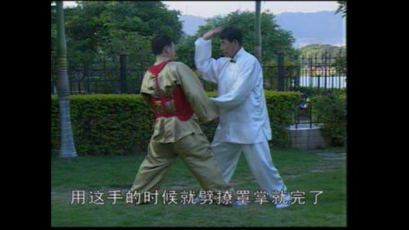 Тунбей цюань с мастером zhao jian guo (1 5) часть 2