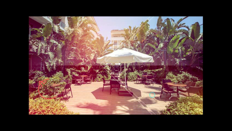 Trendy verbena beach summer