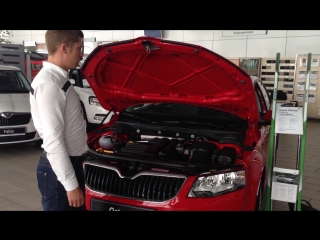 Упоры капота skoda octavia a7