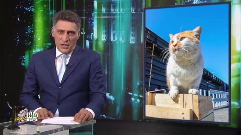 Международная пилорама с тиграном кеосаяном