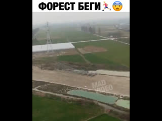 Невероятное спасение