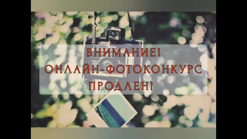 "сидим дома и нам некогда скучать!"