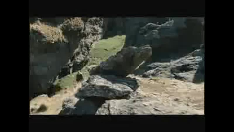 Lotr "sex bomb" by max raabe (legolas/gimli)