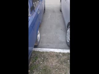 Erika ferfis 20200505 5 mp4