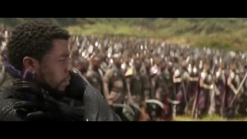 Ваканда навеки – чёрная пантера