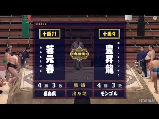 Wakamotoharu vs hoshoryu haru 2020, juryo day 8