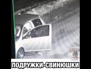 Подружки свинюшки