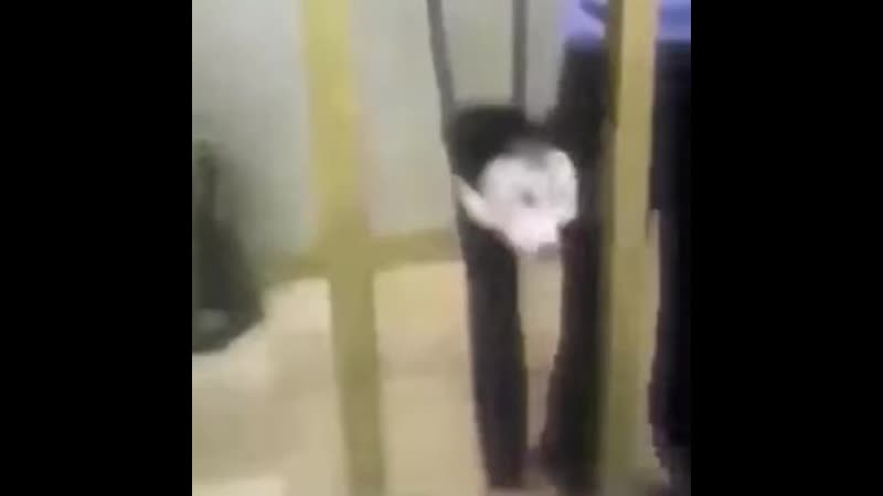 Персонажи дисней vs владельцы дисней