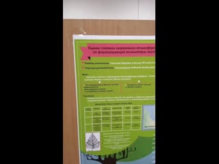 Live в хорошей физической форме!