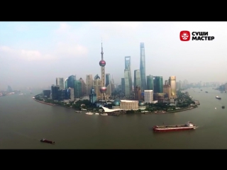 Sushimaster vlog efir