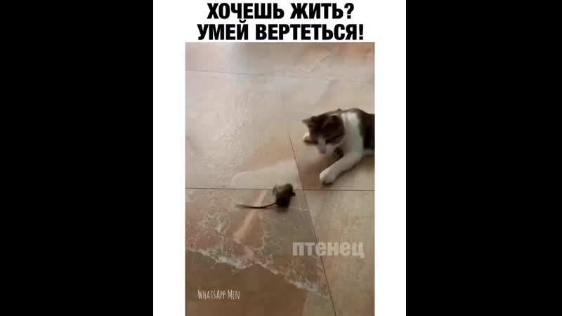 Хочешь жить? умей вертеться!
