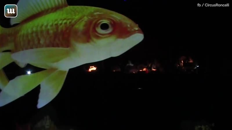 Немецкий цирк ронкалли заменил молодые голограммами