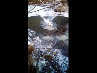 Vid 20201213 140544 mp4