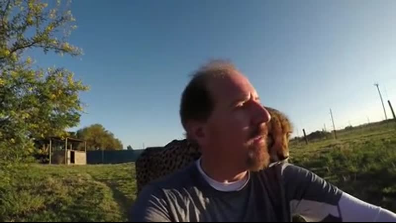 Nеvеr turn yоur baсk tо a wild сat!